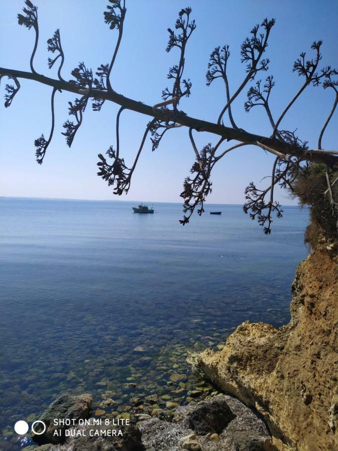 Casale Hibiscus Villa Santa Maria Del Focallo Dış mekan fotoğraf