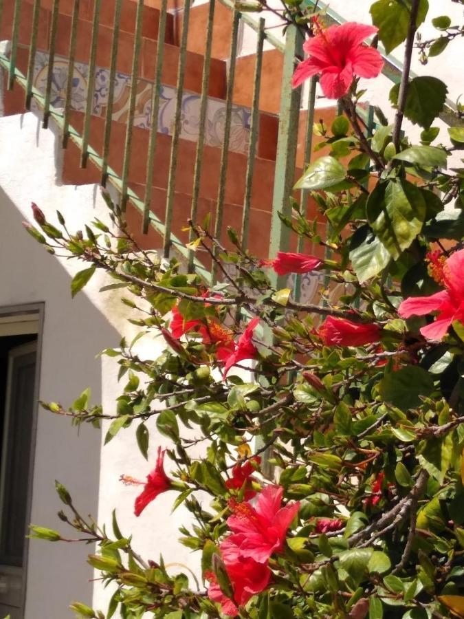 Casale Hibiscus Villa Santa Maria Del Focallo Dış mekan fotoğraf